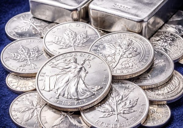 WhatsApp Image 2026-02-09 at 13.56.13 (4)