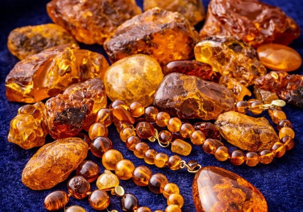 WhatsApp Image 2026-02-09 at 13.56.13 (7)