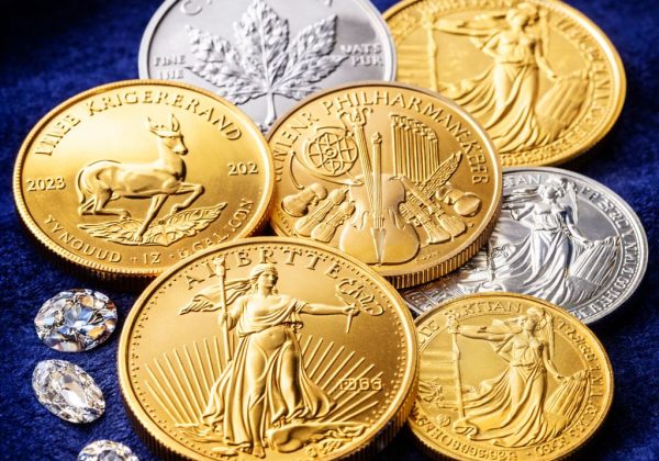 WhatsApp Image 2026-02-09 at 13.56.13